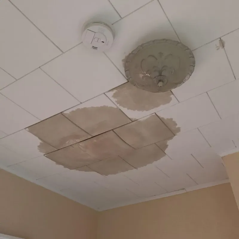 Ceiling Water Damage Repair in Gilbertsville, PA