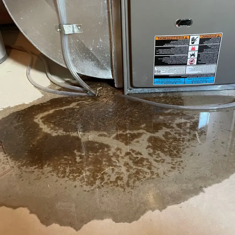 Pipe Burst and Leak Restoration in Gilbertsville, PA