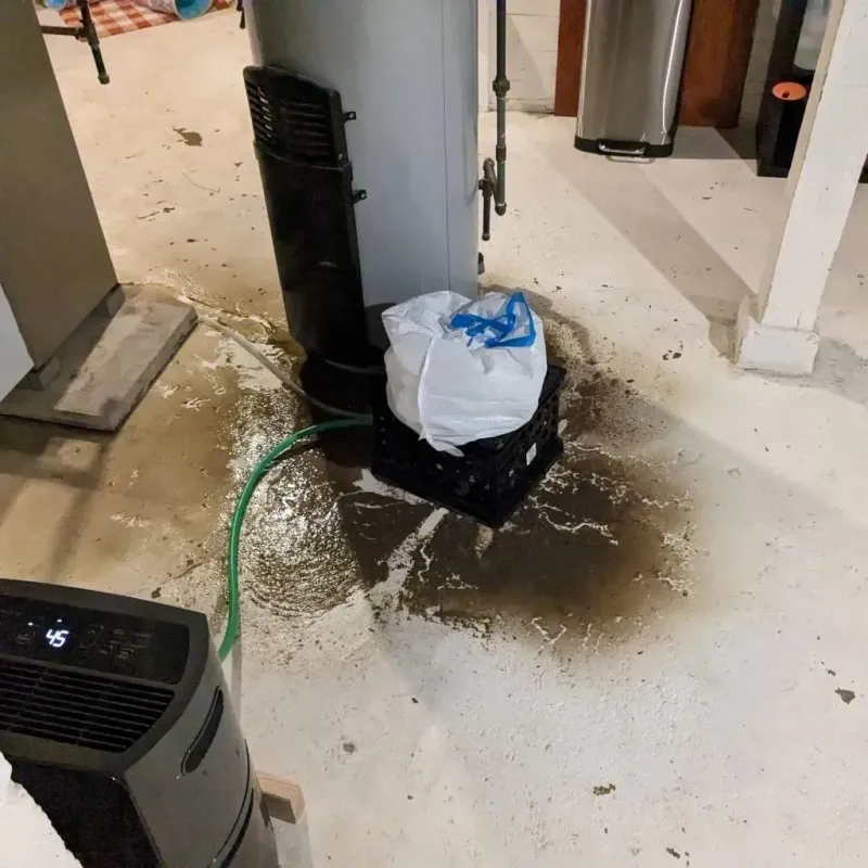 Sewage Backup Cleanup Service in Gilbertsville, PA